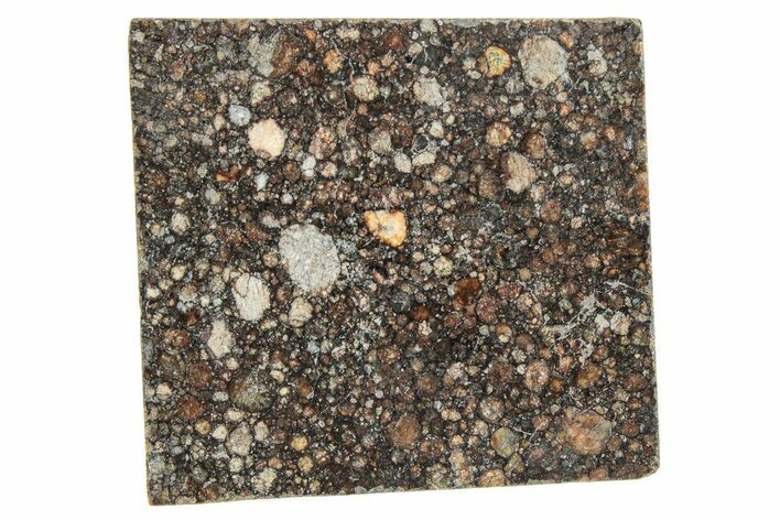 LL Chondrite Meteorite ( g) Slice - NWA #291398